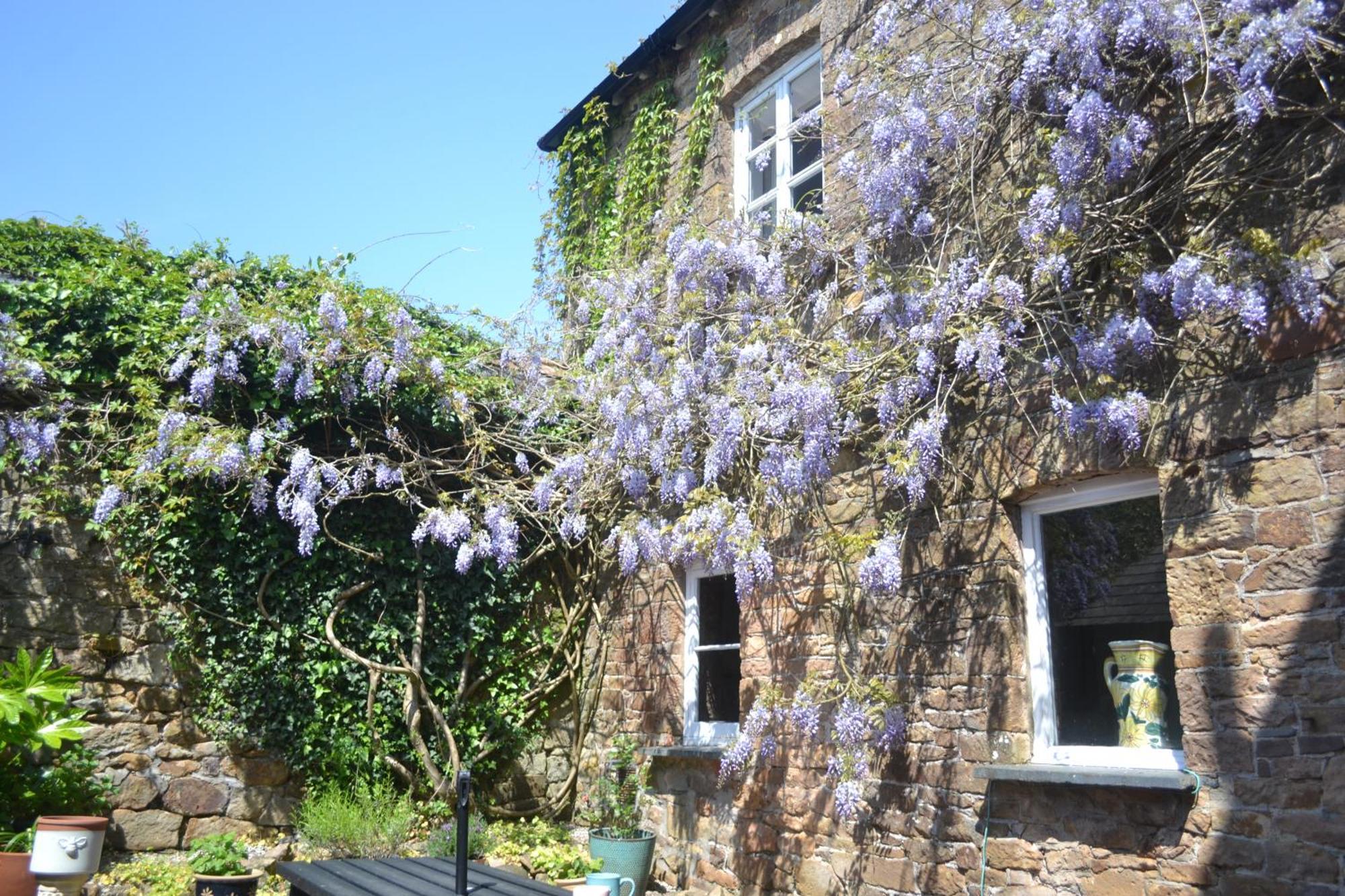 Hatherleigh The Old Police Station 빌라 외부 사진